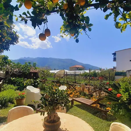 Bed & Breakfast Buonocore Santa Maria La Carita