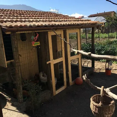 Buonocore Bed & Breakfast Santa Maria La Carita