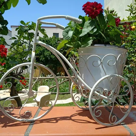 Buonocore Bed & Breakfast Santa Maria La Carita